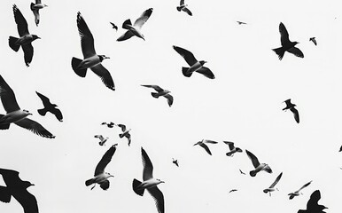Obraz premium Flock of Geese in Flight, Overcast Sky