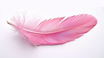 Beautiful Pink Feather on White Background, Generative AI