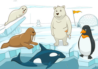 Arctic animals educational game for kids PNG illustration, educational game, animals