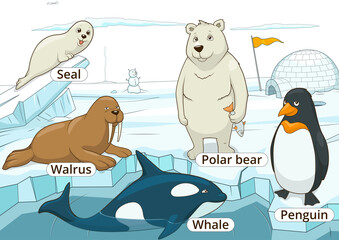 Arctic animals educational game for kids PNG illustration, educational game, animals