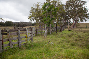 Old Wooden Fence in a Rural Field with Trees and Overcast Sky