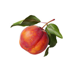 Top view of a fresh nectarine with leaves on a transparent background, with space for text. Flat lay composition