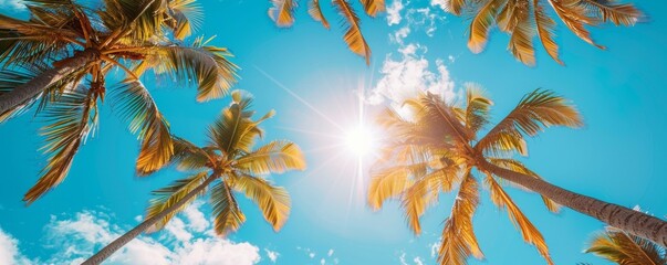 Stunning view of tall palm trees against clear blue sky on sunny day, perfect summer vacation or tropical holiday theme.