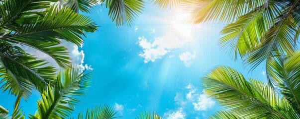 Stunning palm tree canopy framing bright blue sky with sunlight rays, ideal for summer, tropical vacation, and beach-themed presentations. Copy space.