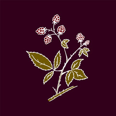 Hand drawn illustration with blackberry. Stylized picture of flowering branch with leaves and berries in sketchy style. Colorful outline icon on dark background.