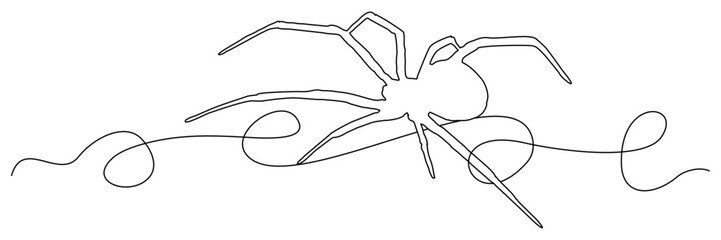 line art illustration  background for a spider halloween day