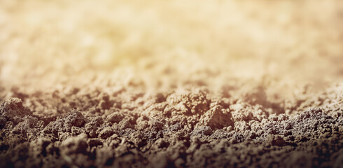 photo of soil on a sunny day. space for text and product presentation