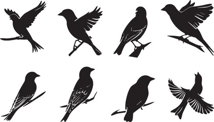 Silhouette Collection of Hummingbirds in Various Poses