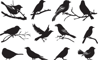 Fototapeta premium Silhouette Collection of Hummingbirds in Various Poses