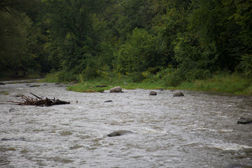 Overcast River with Rocks and Ripples – Grass and Trees Across Riverbank