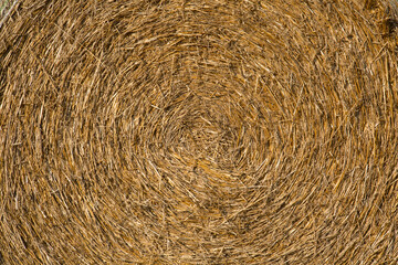 Harvested Round Hay Bale Close Up Texture Yellow Brown Color