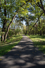 Paved Path Through a Park with Lush Grass and Abundant Trees: Scenic Walkway With Sunlight Shining Through Trees