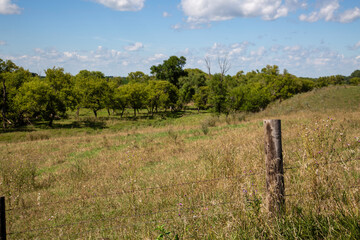 Grasslands Prairie with Lush Native Plants, Trees, and Wood Post Wire Fence