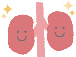 健康な腎臓のイラスト　手書き風キャラクター