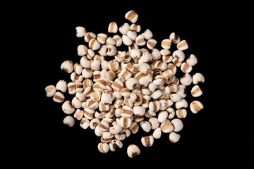 job's tears seed isolated on black background