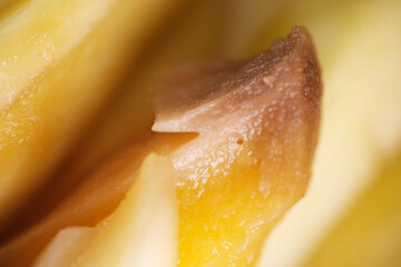 Macro shot of mango pickles contain maggot