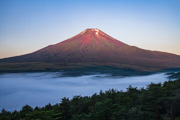 Fototapeta premium 忍野村から富士山と雲海