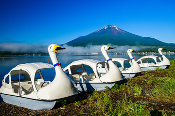 山中湖から富士山とスワン