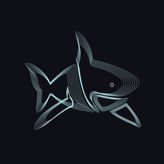 shark illustration