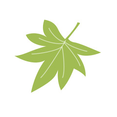 和風の夏素材カエデのイラスト