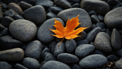 Image of leaves on rocks, 4K quality 5