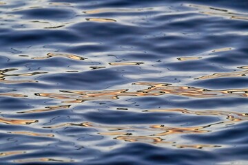 夕日を浴びて輝く水面の情景