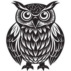 owl on white background