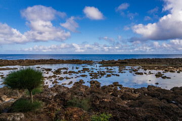 Sharks Cove is a spectacular swimming and snorkeling destination on Oahu, Hawaii.