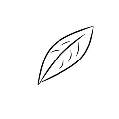 leaf