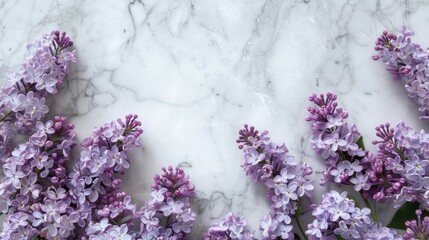 Lilac flowers on white marble background with space for text flat lay view