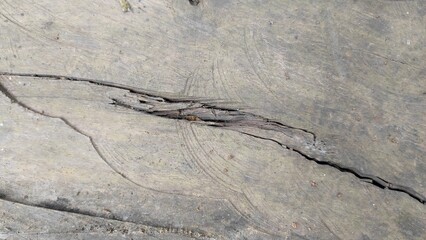 This is a pattern of old tree wood fibers that has formed over many years with an attractive and...