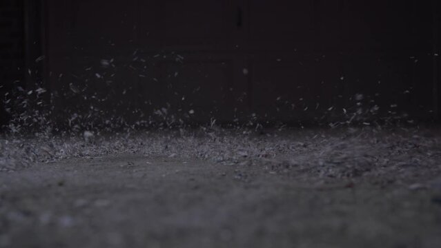Ashes on the ground