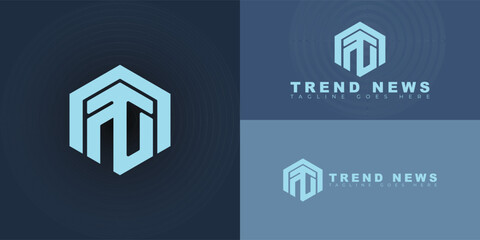 Abstract initial hexagon letters TN or NT logo in blue color isolated on multiple background colors. The logo is suitable for news network logo vector design illustration inspiration templates.