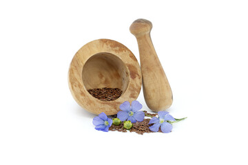 Blue flax blossom and seeds over white background