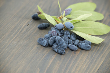 Honeyberry haskap twig and berries on wooden table