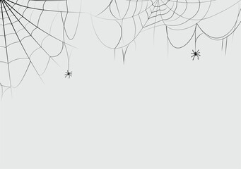 stretching a spider web. Vector spider web illustration for halloween design