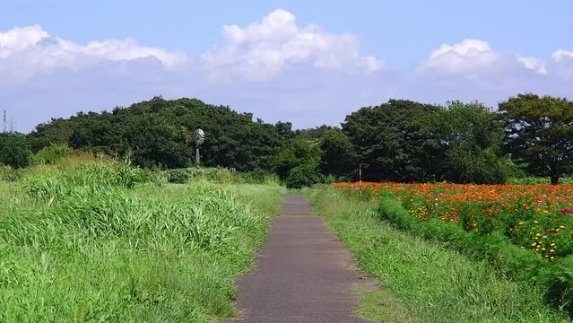 草原のなかをゆく一本道は、夏のイメージ
