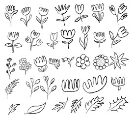 Hand Drawn Sketchy Style Floral Doodle