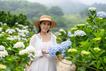 Pregnant woman visit the Hydrangea farm