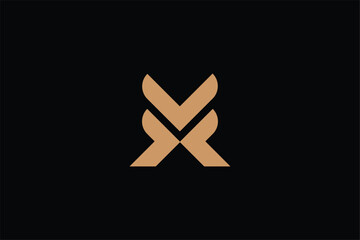 letter V  podiatrist logo, logo of love foot, letter V arrow foot logo, logomark