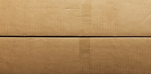 Fototapeta premium Corrugated Cardboard Box Texture. Industrial Design Concept