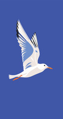Fototapeta premium White bird isolated on blue background, phone wallpaper, minimal style, vector illustration