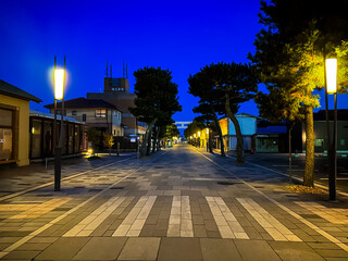 誰もいない深夜の出雲大社の参道の風景