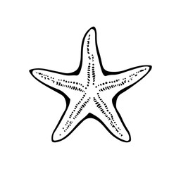 Fototapeta premium starfish engraving black and white outline, Starfish silhouette vector illustration