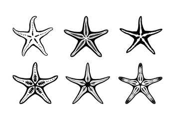 a collection of starfish, starfish engraving black and white outline