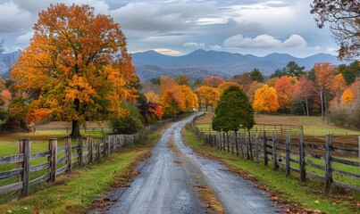 Obraz premium A charming rural road lined with old wooden fences and trees in full autumn colors, leading towards distant mountains
