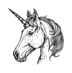 unicorn, head portrait engraving black and white outline