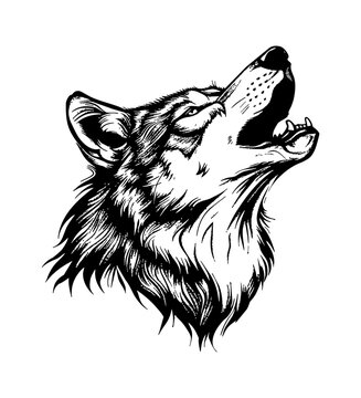 recommend clip art: wolf howl engraving black and white outline