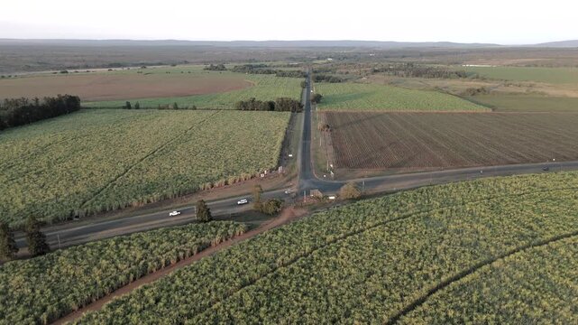 Slow push forward drone flight towards an intersection, sugarcane farms, birds-eye view, Mpumalanga, South Africa.