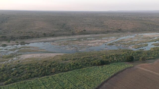 Drone view reveals contrasting sugarcane farms, divided by a seasonal river, bordering Kruger National Park. Crocodile River South Africa.
